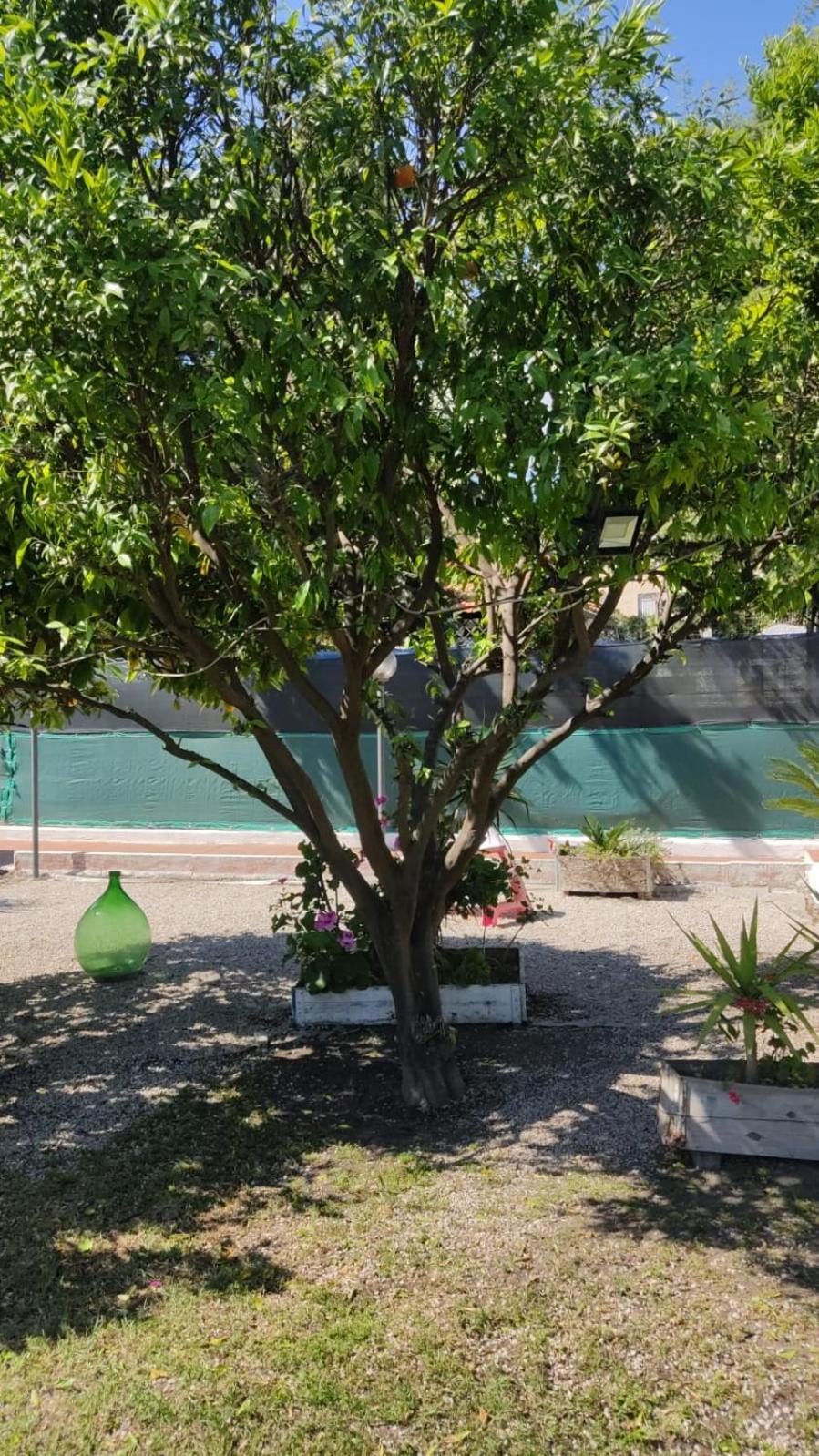 Garden Green Da Virna Torre Annunziata Exterior photo